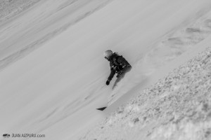 IMG_2774 copy