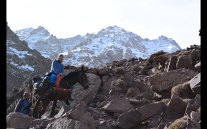 Géraldine sur sa mule