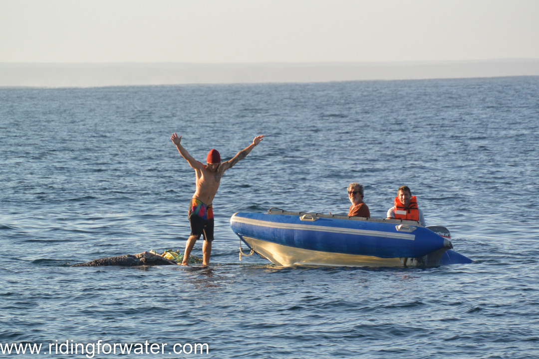 rencontre avec surfeur