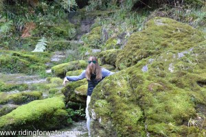 GG essaie de me faire peur dans la forêt...