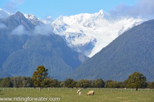 Le Fox glacier a l'air en forme...