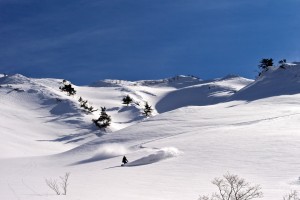 Geraldine Grand in the powder at Hakuba.